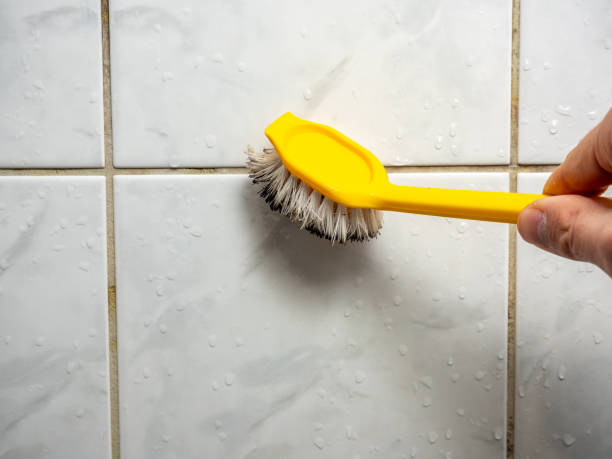 Best Fast Mold Removal  in Fairview, NY